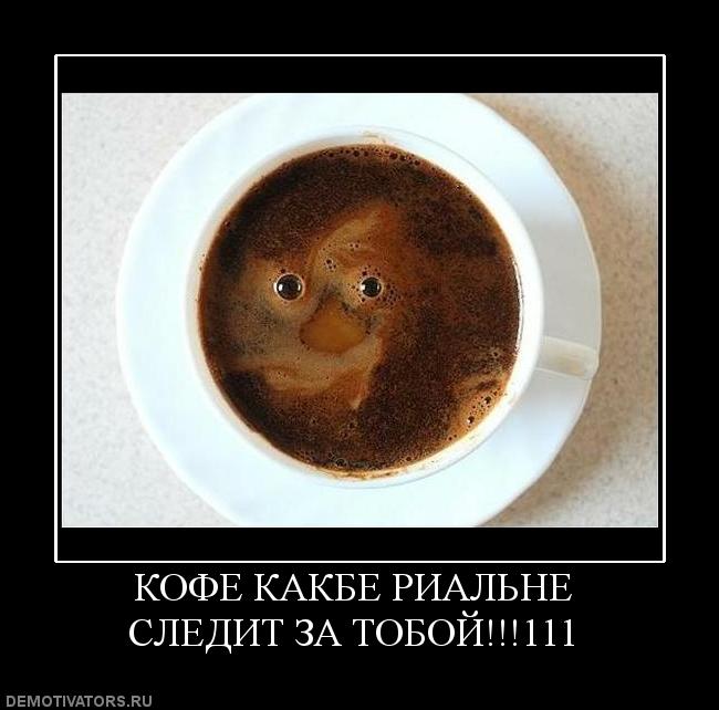 Кофе Фото Смешно