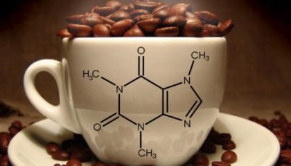 состав кофейного зерна